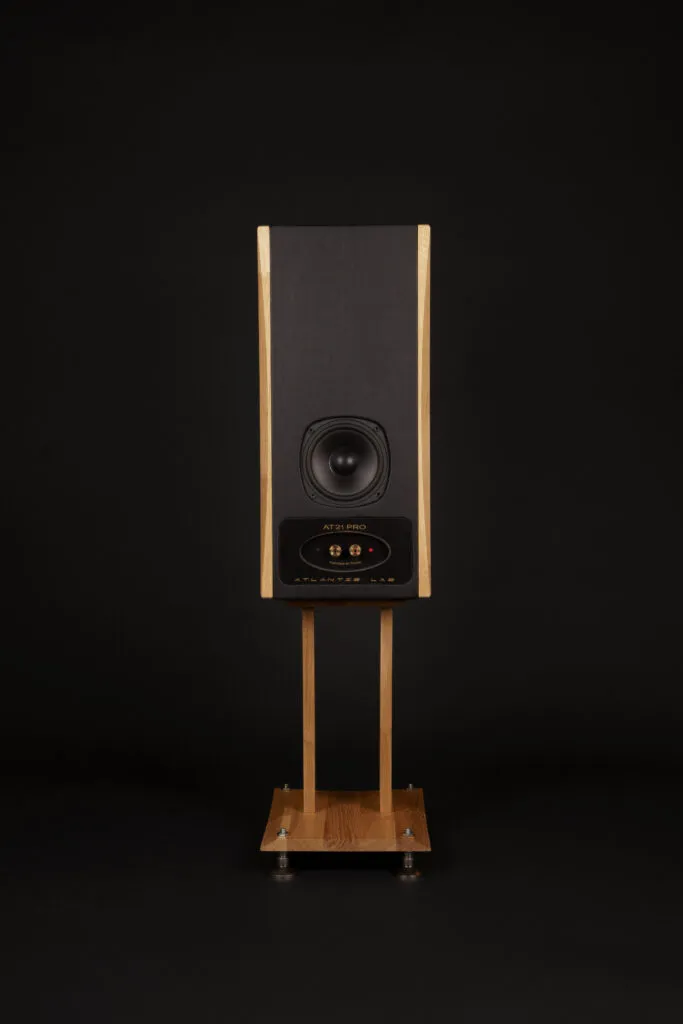 AT 21 pro speaker rear view on a black background