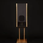 AT 21 pro speaker rear view on a black background