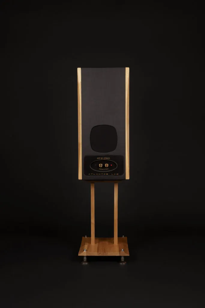 AT 21 pro speaker rear view on a black background