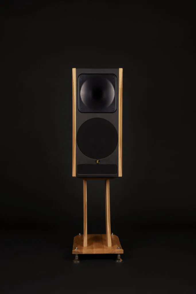 AT 21 pro speaker front view on a black background